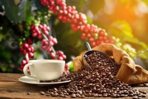 Baristamo Speciality Coffee